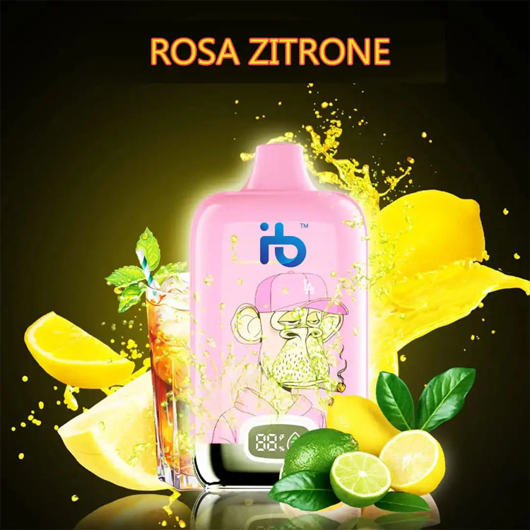 Discover the Best Rechargeable E Cigarette and E Papierosy Options for Ultimate Vaping Experience