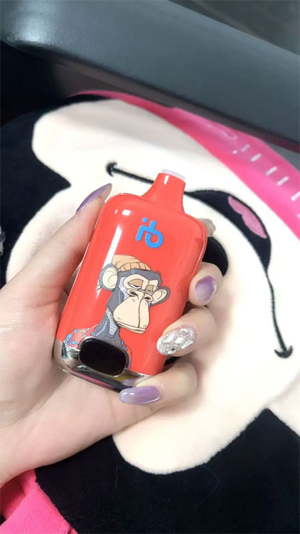 E-papierosami travel tips can you take e cigarette on a plane with E-papierosami for a safe flight