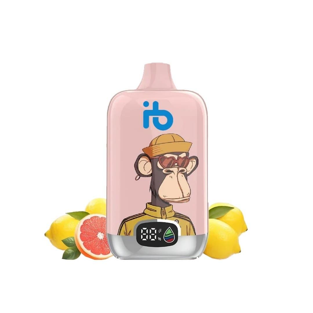 2025 Buyer Guide and Honest Review of IBvape e-zigaretten and ploom e cigarette for Flavor, Battery Life and Accessories