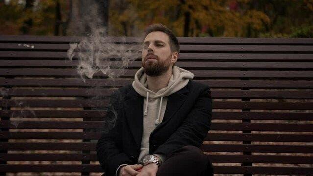 Vape Shop Guide - Discover Premium terea e cigarette Flavors, Deals and Smart Buying Tips
