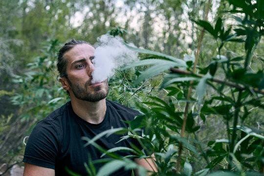 Ultimate e-cigarette buy guide and expert tips to choose rechargeable e-cigarettes that last